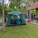 242624873_4895789260435479_1912632895048504203_n