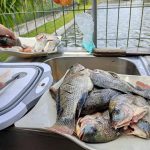 242053278_4895788757102196_5402154982945530710_n