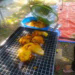 241985951_4895788983768840_7384247703243149446_n