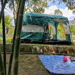 242478554_4895788870435518_6153061476645886903_n