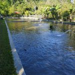 242201276_4895787923768946_4007114597669148892_n