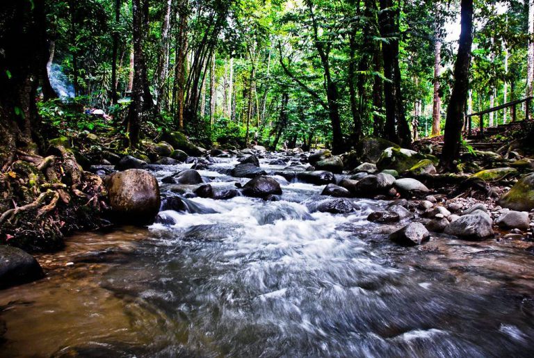 Taman Eko Rimba Kanching Dan Chongkak Park & Resort Bakal Dibuka Beroperasi Semula