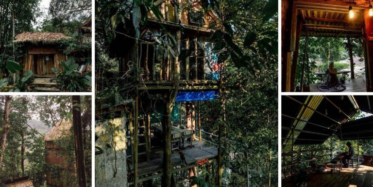 Saksikan Keindahan Sunset Dari Atas Pokok, Jom Staycation Rumah Hutan Di Rainforest Tree House