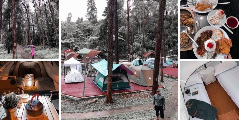 Syoknya Percutian 5 Bintang Di Cameron Highlands, Kos Semalam Baru RM26. Sedapnya Makan Strawberi Putih