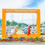 The Dreamy Frame, Vibrant Life