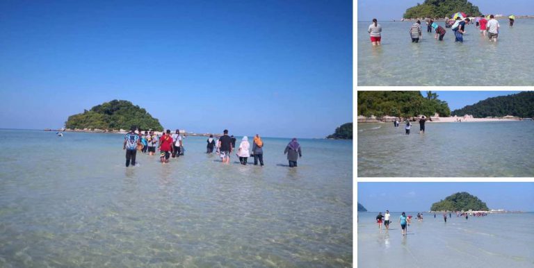 Jalan Kaki  Harungi Laut Dari Pantai Teluk Nipah ke Pulau Giam, Fenomena Unik Air Surut  Ini Berlaku Setahun Sekali