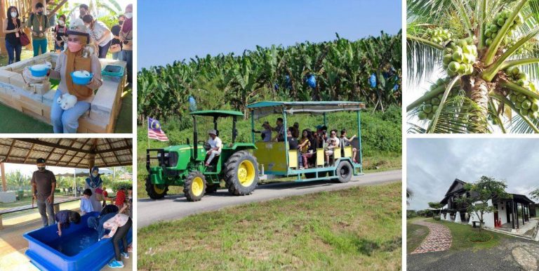 Pengalaman Luar Biasa, Enjoy Sangat. Selangor Fruits Valley Port Percutian Menarik  Seisi Keluarga