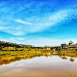 117843094_10219883794937527_9181551709652731538_n