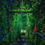 117945892_10219883803737747_6209861446566851686_n