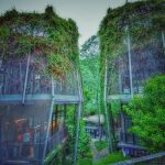 117604790_10219883803937752_8849289863698277588_n