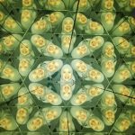 118293529_10219883807417839_3232190153721121007_n