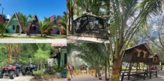 Eco Bay Beach Resort