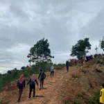 84345D75-2A17-4F36-B0E8-7605ACF93143-compresso