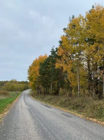 Dikenali Antara Negara Terbersih Di Eropah, Ini Sebab Estonia Sangat Menarik Untuk Dilawati 10 Dikenali Antara Negara Terbersih Di Eropah, Ini Sebab Estonia Sangat Menarik Untuk Dilawati