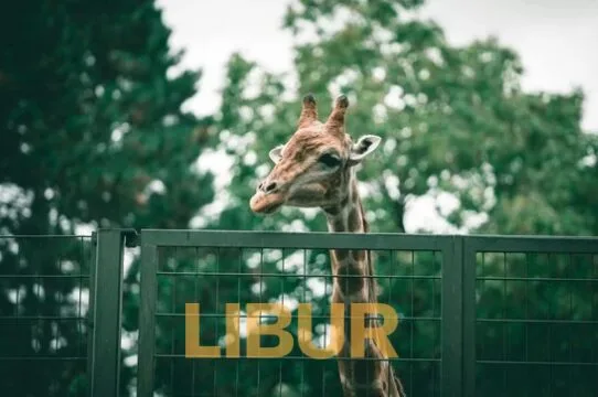 Zoo Di Malaysia Yang Menarik Untuk Dikunjungi Bersama Keluarga 30 Zoo Di Malaysia Yang Menarik Untuk Dikunjungi Bersama Keluarga