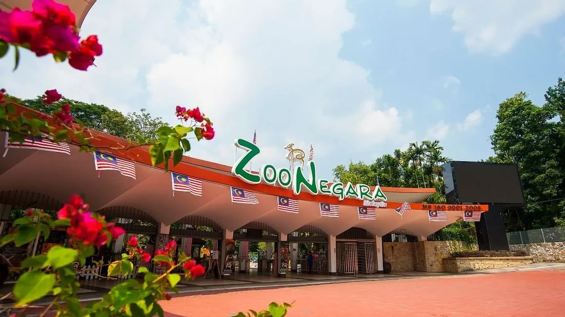 Zoo Di Malaysia Yang Menarik Untuk Dikunjungi Bersama Keluarga 12 Zoo Di Malaysia Yang Menarik Untuk Dikunjungi Bersama Keluarga