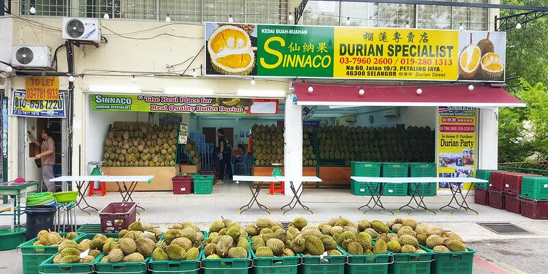 Durian Tourism Makin Popular, Pelancong Luar Sanggup Datang Malaysia Nak Rasa Raja Buah 13 Durian Tourism Makin Popular, Pelancong Luar Sanggup Datang Malaysia Nak Rasa Raja Buah