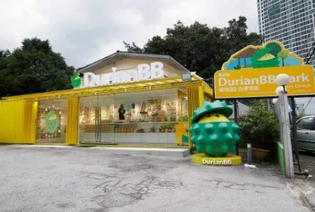 Durian Tourism Makin Popular, Pelancong Luar Sanggup Datang Malaysia Nak Rasa Raja Buah 10 Durian Tourism Makin Popular, Pelancong Luar Sanggup Datang Malaysia Nak Rasa Raja Buah
