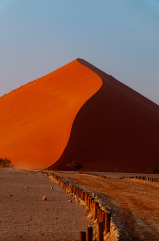 Gurun Namib, Keajaiban Namibia Bila Bukit Pasir Merah Bertemu Laut Atlantik 7 Gurun Namib, Keajaiban Namibia Bila Bukit Pasir Merah Bertemu Laut Atlantik