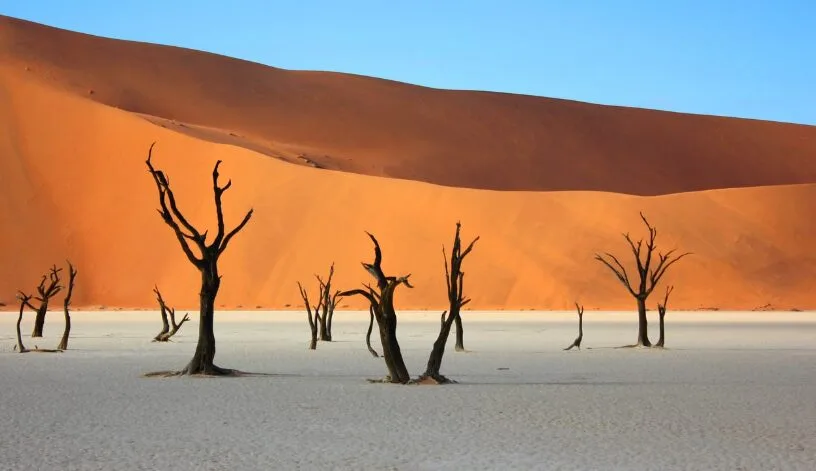 Gurun Namib, Keajaiban Namibia Bila Bukit Pasir Merah Bertemu Laut Atlantik 9 Gurun Namib, Keajaiban Namibia Bila Bukit Pasir Merah Bertemu Laut Atlantik
