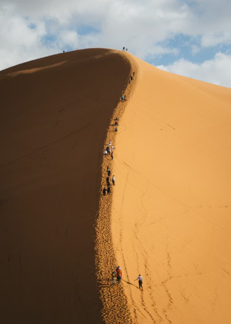 Gurun Namib, Keajaiban Namibia Bila Bukit Pasir Merah Bertemu Laut Atlantik 11 Gurun Namib, Keajaiban Namibia Bila Bukit Pasir Merah Bertemu Laut Atlantik
