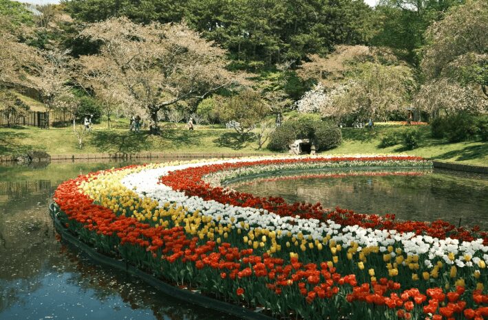 Mekar Berwarna-Warni, Ini 5 Lokasi Musim Bunga Cantik Untuk OOTD 8 Mekar Berwarna-Warni, Ini 5 Lokasi Musim Bunga Cantik Untuk OOTD