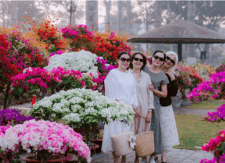 Mekar Berwarna-Warni, Ini 5 Lokasi Musim Bunga Cantik Untuk OOTD
