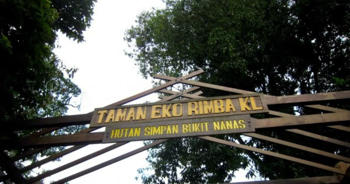 Air Terjun Bukit Nanas, Port Healing Tersembunyi di Tengah KL 3 Air Terjun Bukit Nanas, Port Healing Tersembunyi di Tengah KL