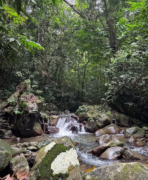 5 Air Terjun Di Selangor Yang Best Untuk Diterokai, Ada Yang Kena Hiking Dulu 8 5 Air Terjun Di Selangor Yang Best Untuk Diterokai, Ada Yang Kena Hiking Dulu