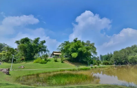 Taman Lembah Bukit SUK Shah Alam, Hidden Gem Hijau Untuk Healing, Jogging & Photoshoot 6 Taman Lembah Bukit SUK Shah Alam, Hidden Gem Hijau Untuk Healing, Jogging & Photoshoot