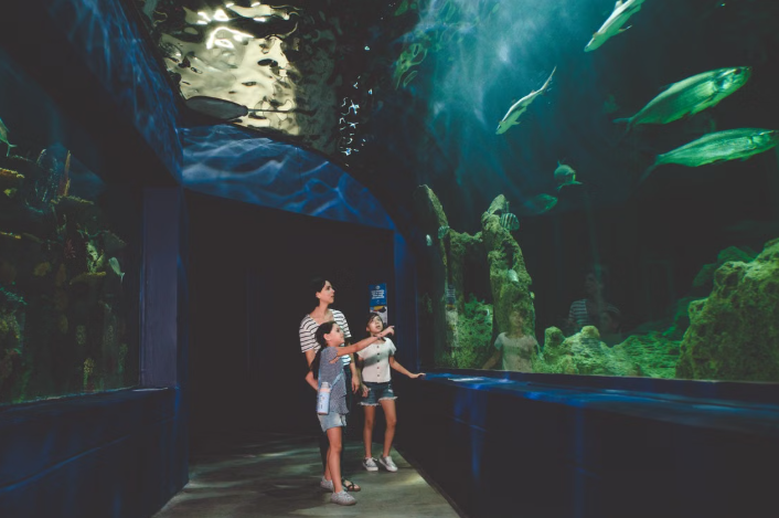 September & October Babies Untung! Aquaria KLCC Bagi Kemasukan Percuma Sepanjang Bulan Kelahiran 2 September & October Babies Untung! Aquaria KLCC Bagi Kemasukan Percuma Sepanjang Bulan Kelahiran