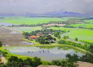 Muzium Padi Kedah, Ada Panorama Sawah 360 Darjah! Tiket Masuk Cuma RM5