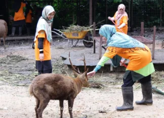 zoo negara
