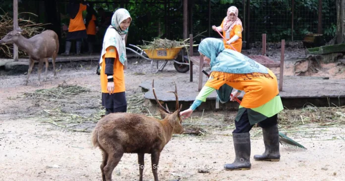 Libur Selasa zoo negara