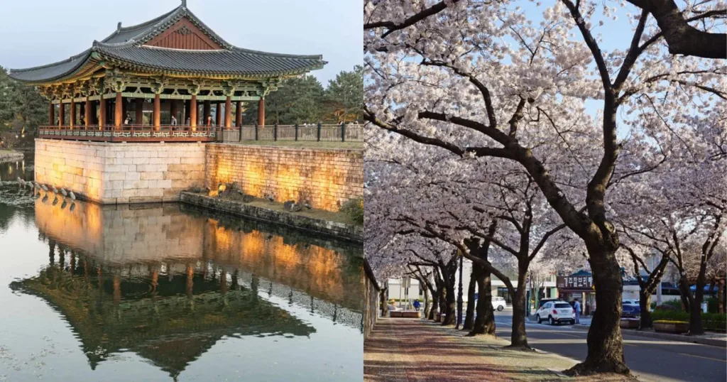Bukan Cuma Seoul! Ini 4 Bandar Di Korea Selatan Paling Cantik Mengikut Musim 2 Korea Selatan