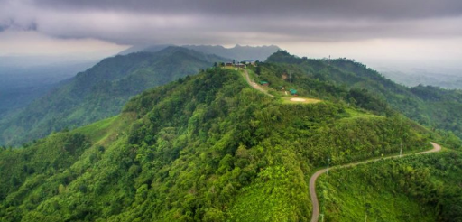 Boeing 737 Dalam Hutan Sungai Lembing, Rupanya Pernah Dirancang Jadi Hotel Unik!