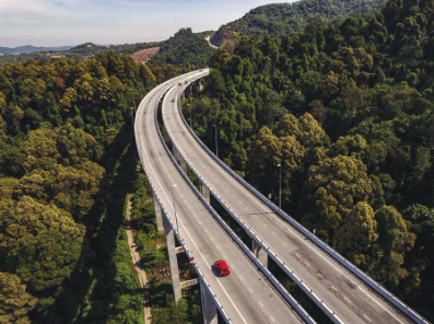 Selalu Lalu Rawang Bypass, Tapi Tahu Tak Pokok Apa Yang Nampak Macam ‘Brokoli’ Tu? 6 Selalu Lalu Rawang Bypass, Tapi Tahu Tak Pokok Apa Yang Nampak Macam ‘Brokoli’ Tu?