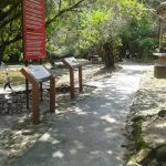 17310684_1816212101962183_1216729256_o