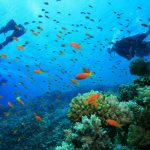 Trip Ke Pulau Tenggol (4)