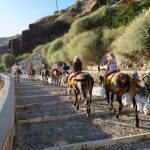 things-to-do-santorini-donkey-ride-old-port-to-fira